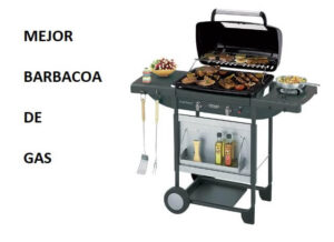 MEJOR BARBACOA DE GAS