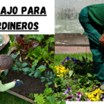 Jardineros