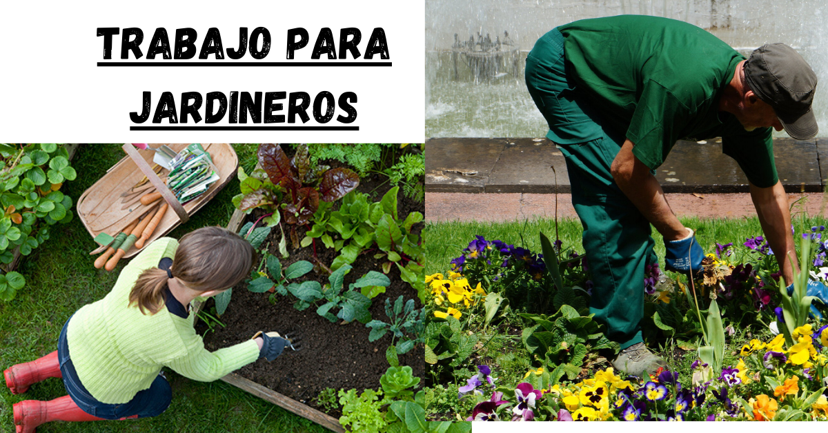 Jardineros