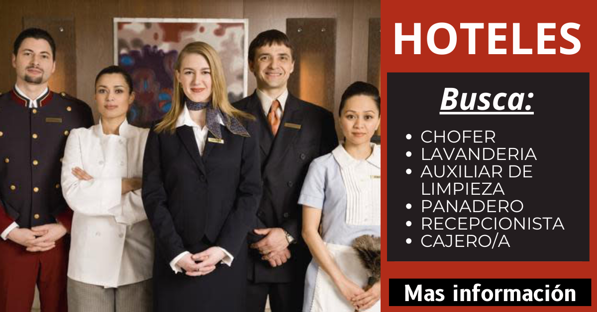 Hoteles se encuentra en busca de personal
